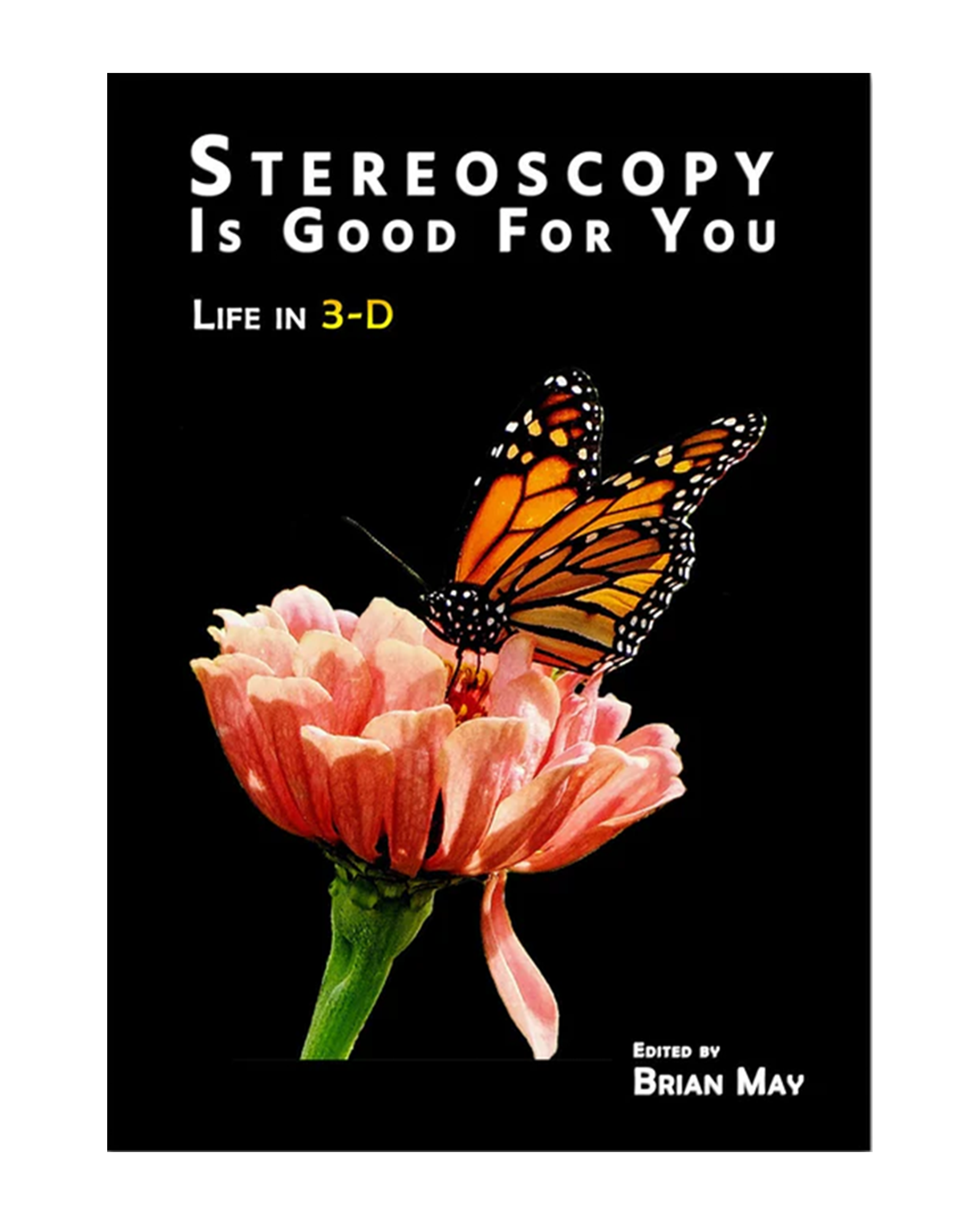 Stereoscopy is Good For You | Poster