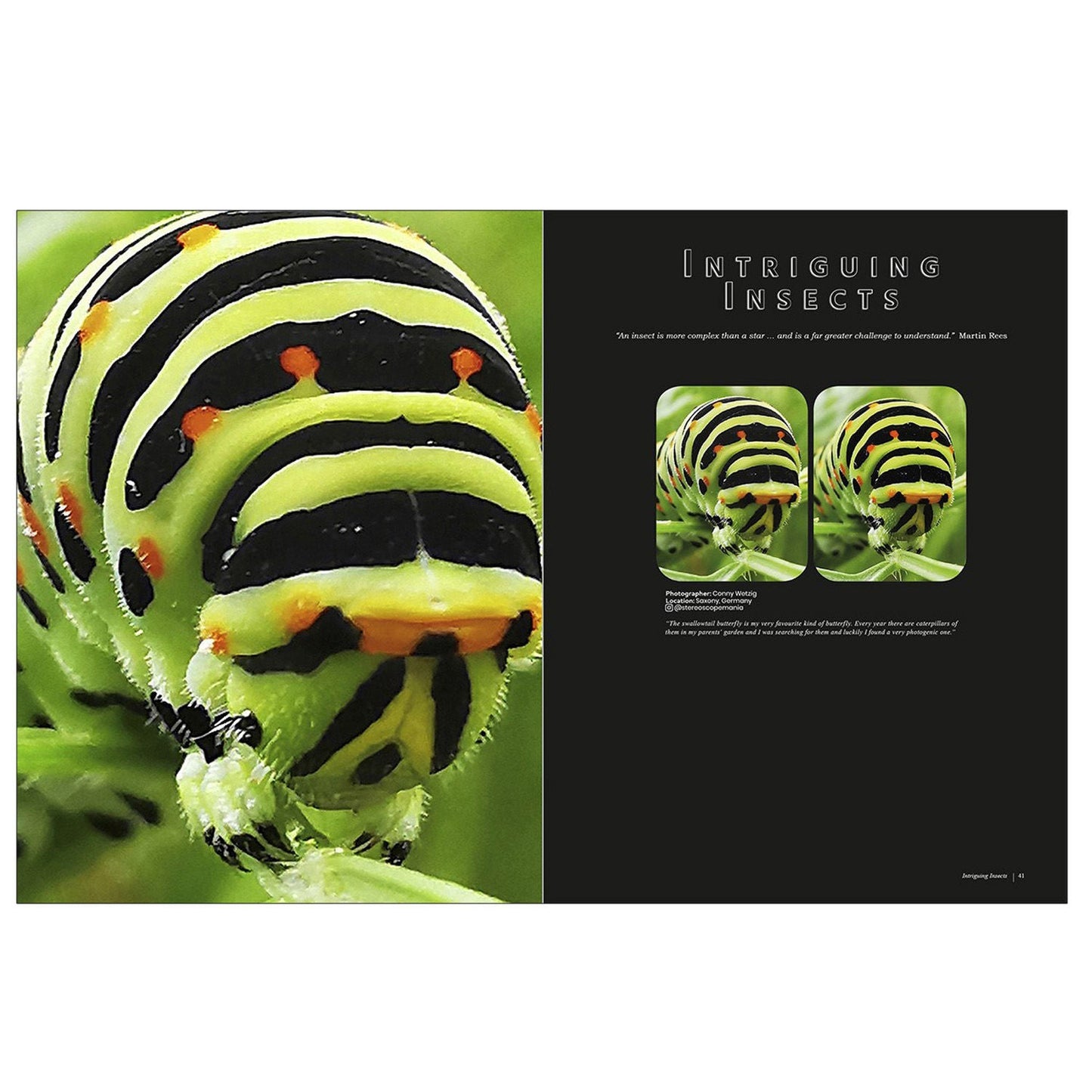 London Stereoscopic Company - Stereoscopy Is Good For You - Life in 3-D