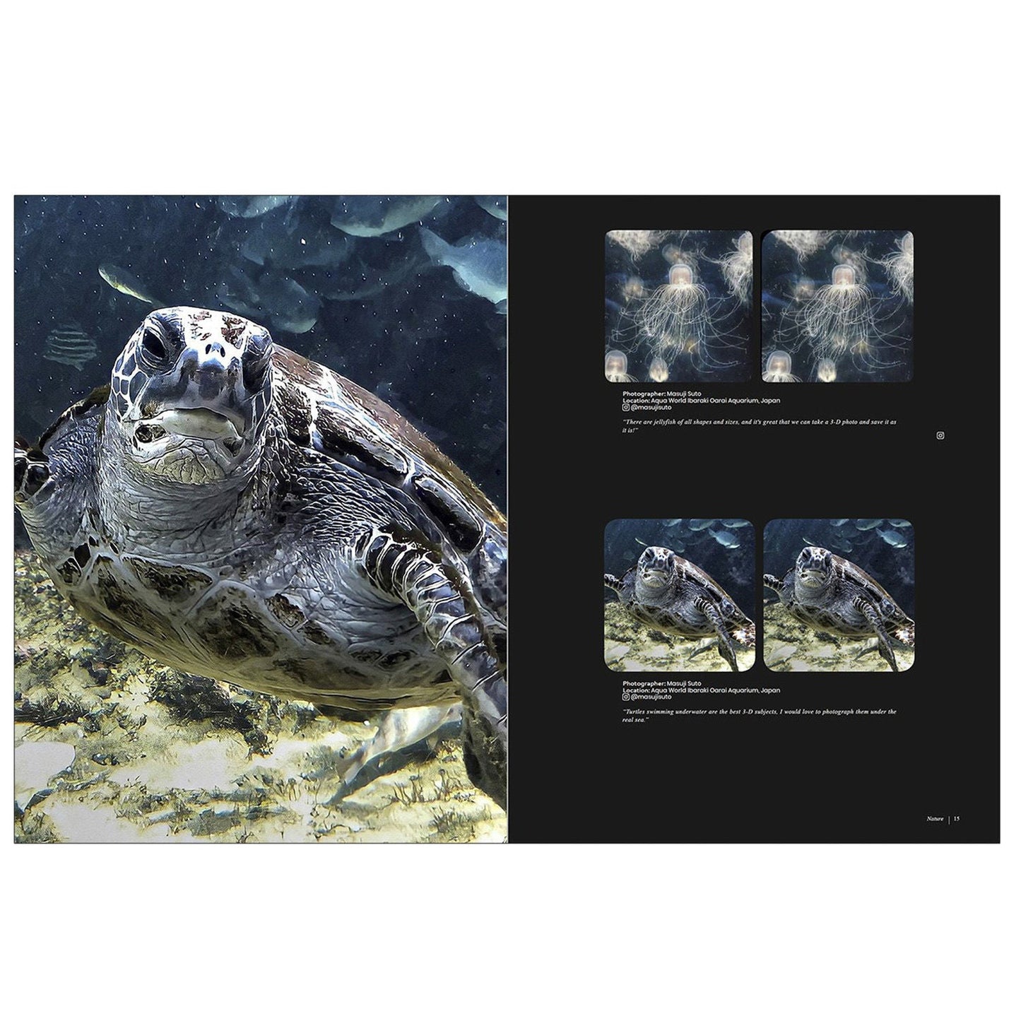 London Stereoscopic Company - Stereoscopy Is Good For You - Life in 3-D