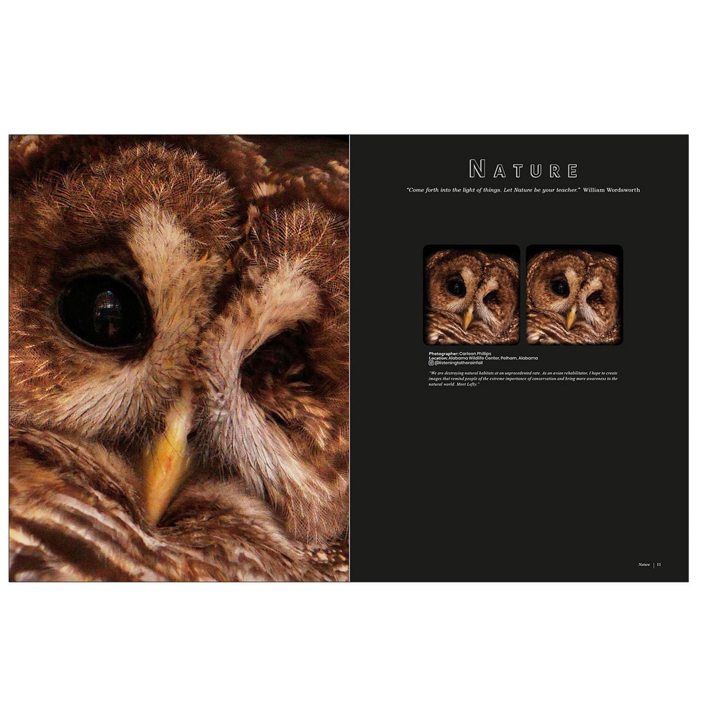 London Stereoscopic Company - Stereoscopy Is Good For You - Life in 3-D