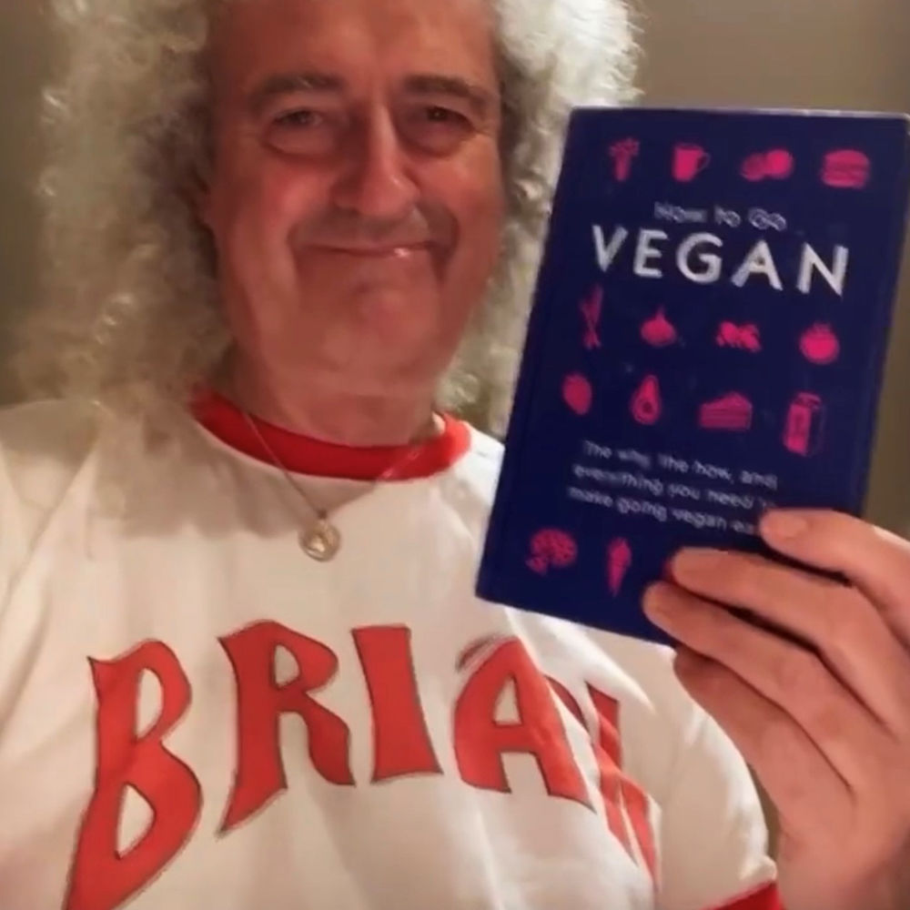 Brian May - 'Brian' Flash Ringer T-Shirt