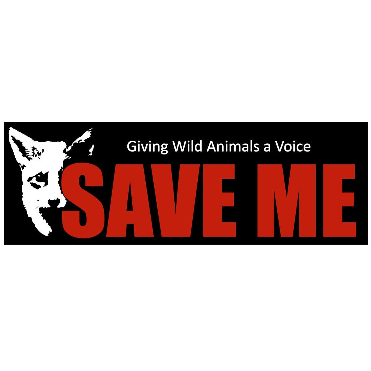 BACK TO THE LIGHT: Brian May Artwork by Sarah Rugg | Queen | Official Store