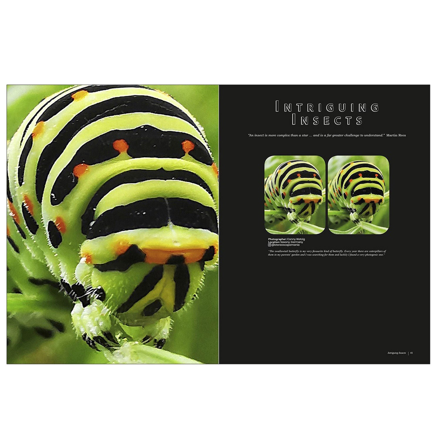 London Stereoscopic Company - Stereoscopy Is Good For You - Life in 3-D